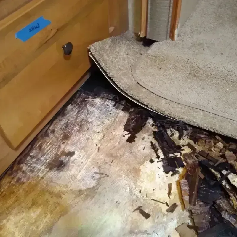 Best Wood Floor Water Damage Service in Delta, OH